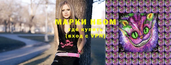 прущий лед Алзамай