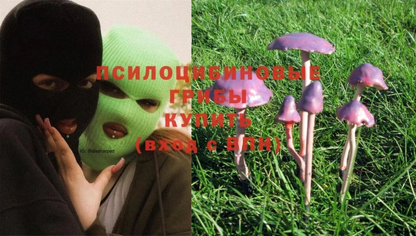 Альфа ПВП Абдулино