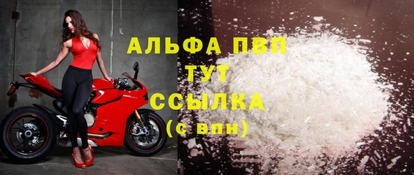 прущий лед Алзамай