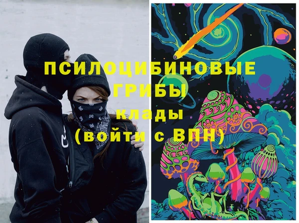 прущий лед Алзамай