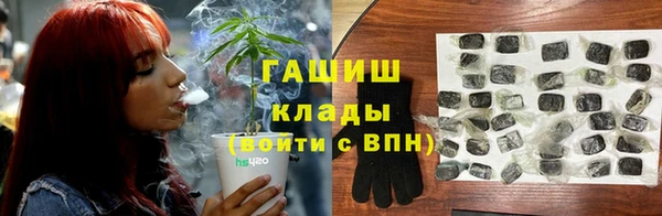 прущий лед Алзамай